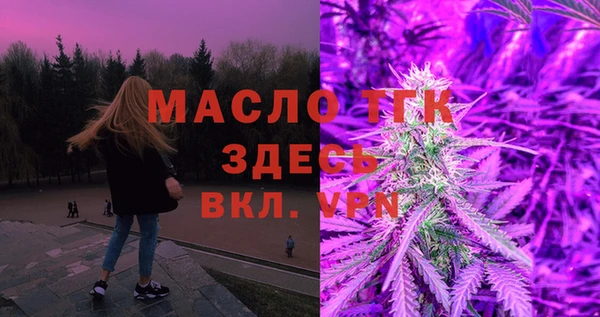 эйфоретик Ельня