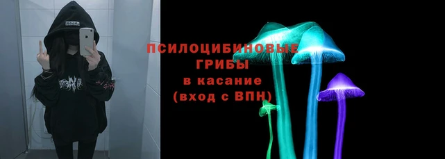 Альфа ПВП Елизово