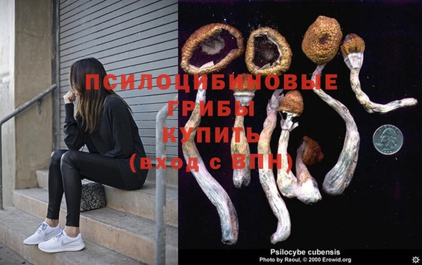 эйфоретик Ельня
