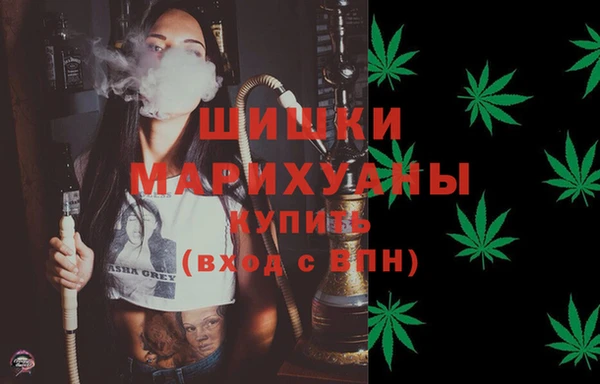 эйфоретик Ельня