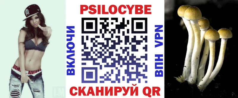 Галлюциногенные грибы Cubensis  Талдом 